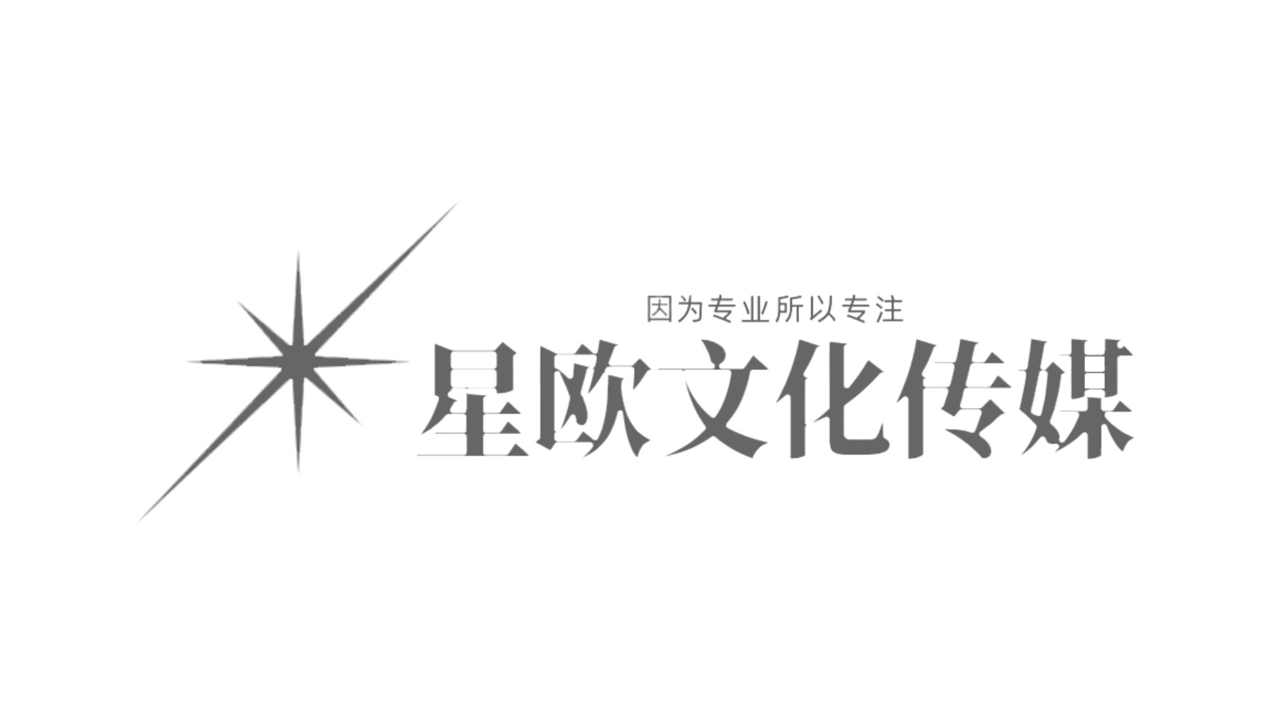 星欧传媒